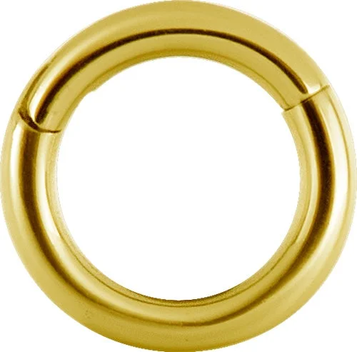 simple gold band for men -Titanium Gold Hinged Segment Ring 20 Gauge - T-BG-BHSR