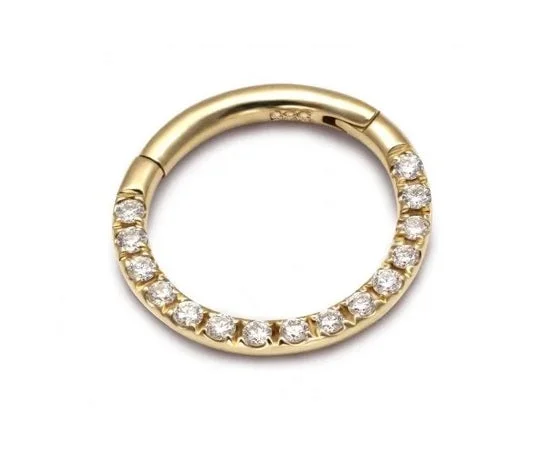 silver midi ring for women -Titanium Gold Jewelled Hinged Segment Hoop Ring 16 Gauge - TI-44A